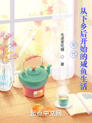 《年代：从下乡后开始的咸鱼生活》小说封面 - 作者：毛遂爱吃糖